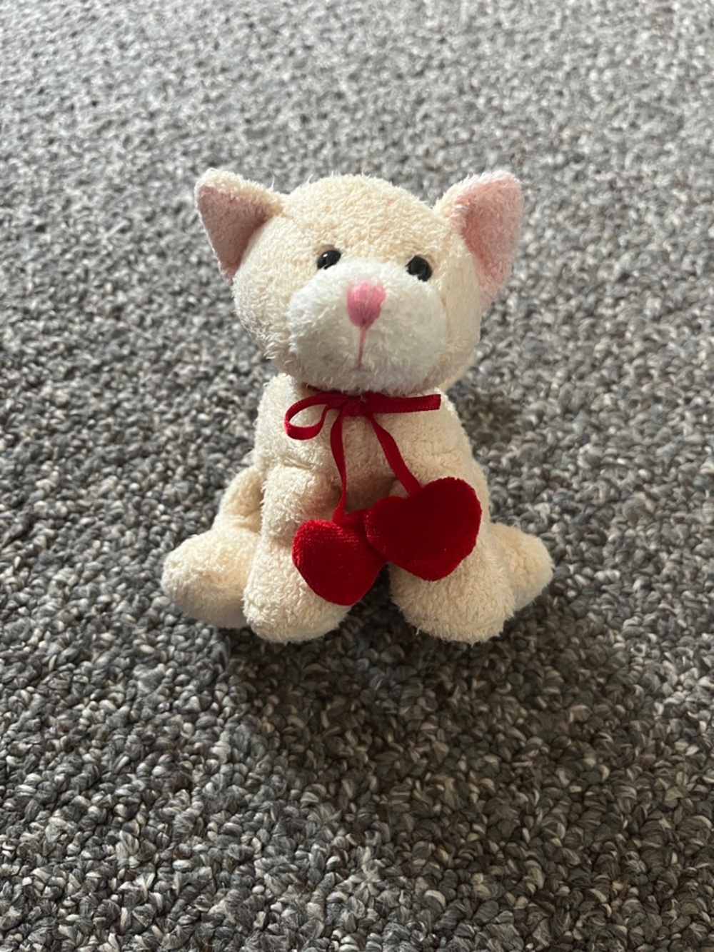 Russ berry luv tabby cat